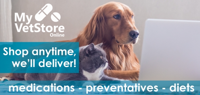 MyVetStore Online Banner